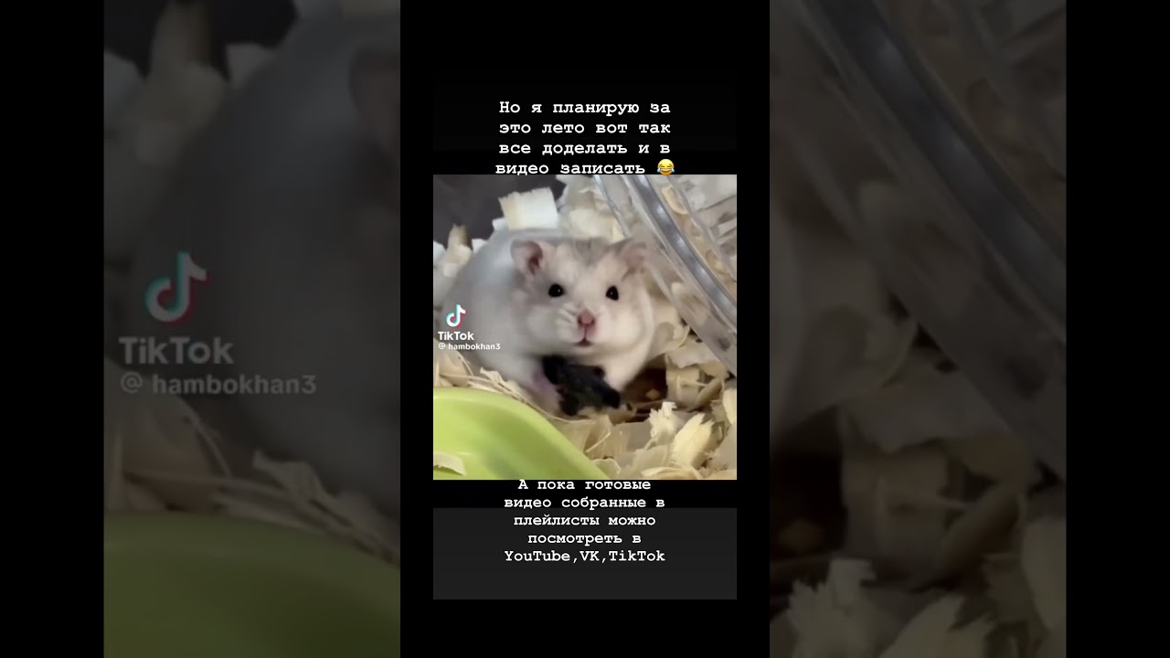 Мои нотные аранжировки на 9.06.25🎹💕🎶 