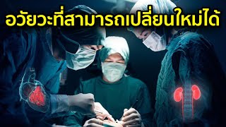 5 อวัยวะที่สามารถผ่าตัดเปลี่ยนใหม่ได้