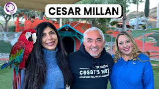 Uncut interview with Cesar Millan