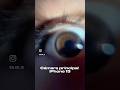 #iphone 13 como cámara para cortometrajes