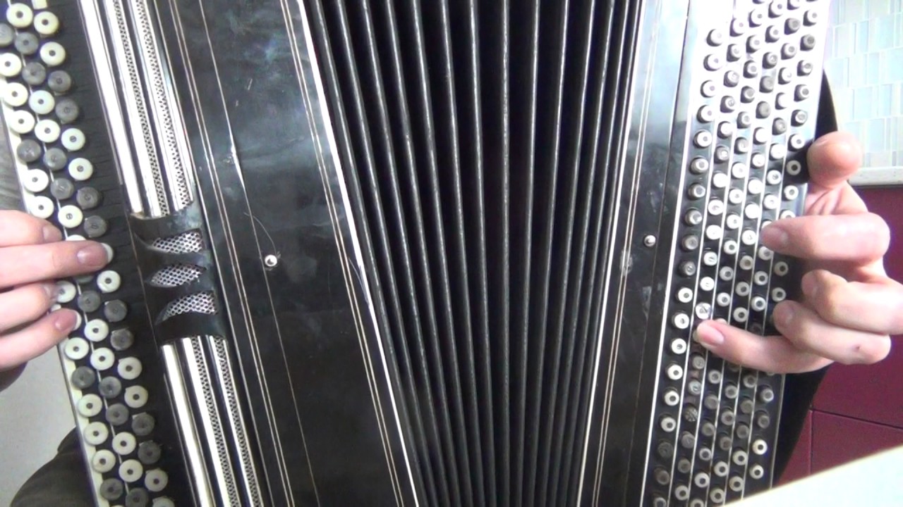 Баян крупным планом