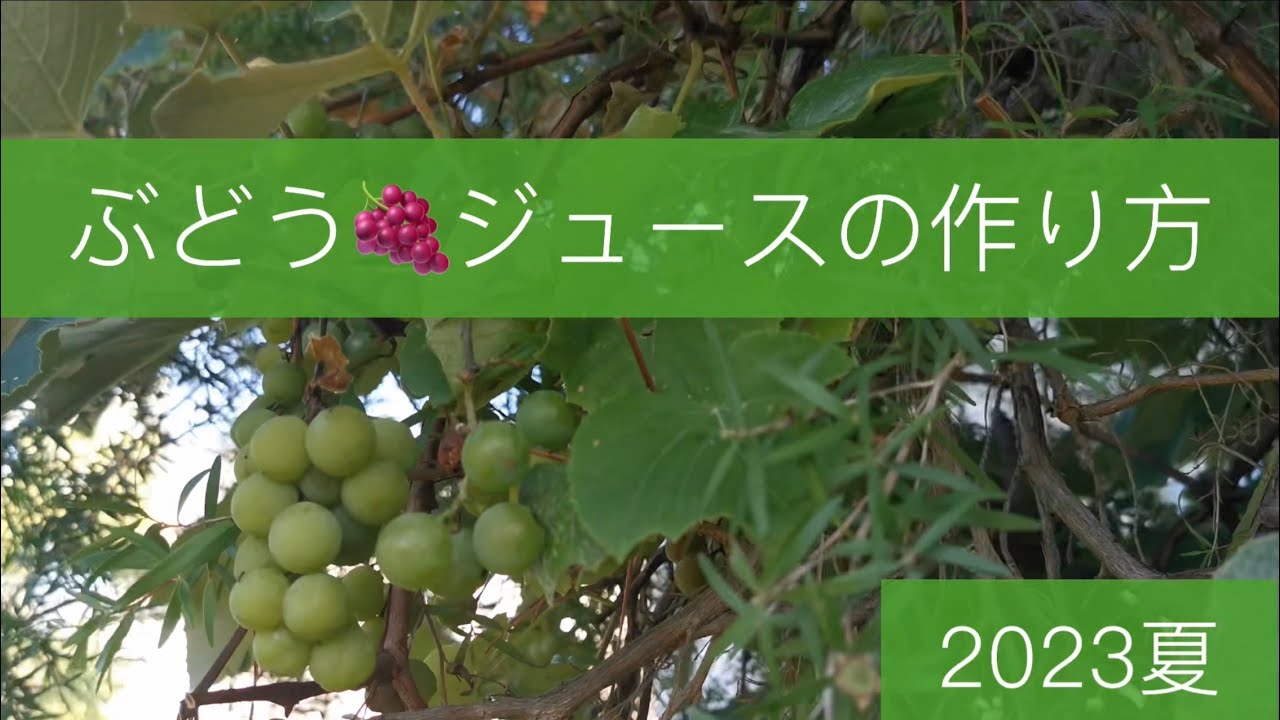 How to Make Grape Juice Summer 2023 - YouTube