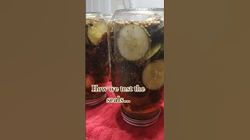 Testing out seals on our canning jars #canning #pickles #youtube #shorts #polytunnel