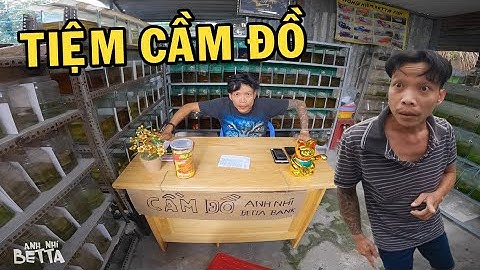 Ông chủ trại cá Betta đổi nghề làm CẦM ĐỒ và cái kết cười té ghế