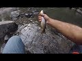 Ловля Ручьевой Форели в Горах Армении / Wild Trout Fishing in Armenian Mountain Streams