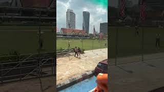 #city #garden #green #views #travel #travelvlog #travelblog #tour #kualalumpur #city #vacation #blog