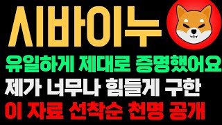 시바이누 코인 전망 저는 여기다가 목숨 걸었을 정도 입니다