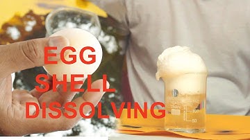 Egg Shell Dissolving Using HCL And Water