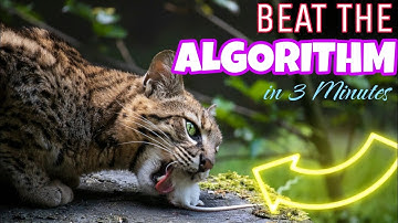 How to BEAT the ALGORITHM in 3 Minutes (SECRET REVEALED)