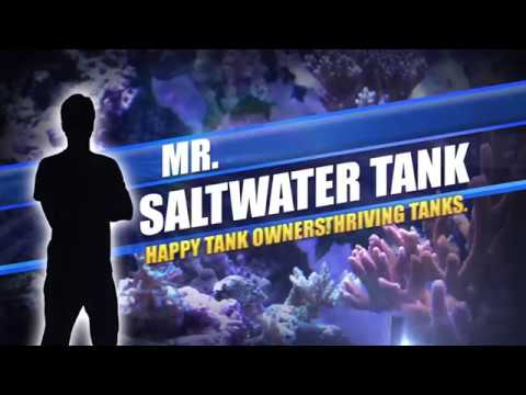 saltwater sushi & burger Reefing in the Middle East: Profile Of A Saudi Arabian Hobbyist