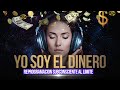 Yo soy el dineroreprogramacin subconsciente  conviertete en un iman del dinero 