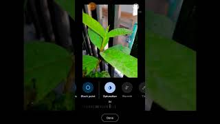 How To Edit A Simply Plant Photo Editing Plant Editing