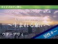 【男性キー(-4)ピアノ伴奏】Umareru Negai ~生まれる願い~ / ウタ・アリィ アニメ「フルーツバスケット」挿入歌