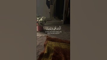 ألم تر إلى الذي حاج إبراهيم في ربه || #عمير_شميم سورة البقرة #قران