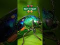 #BREAKINGNEWS: The EPA has announced that they found a cool bug and they want to keep it 🪲 #news