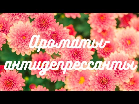 Ароматы-антидепрессанты: что поднимает настроение?