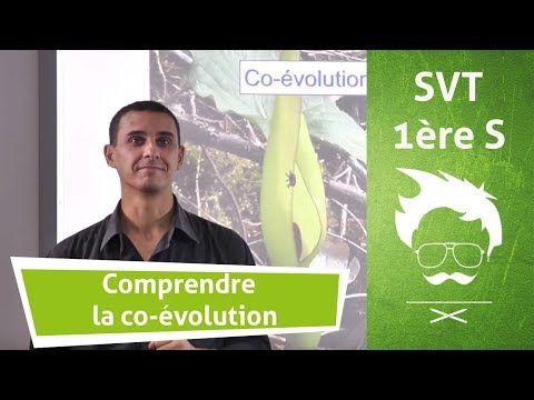 Vidéo: Quel est l'exemple de coévolution?