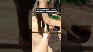 Tripmaker Where To Go