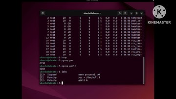Administración de Procesos en Linux