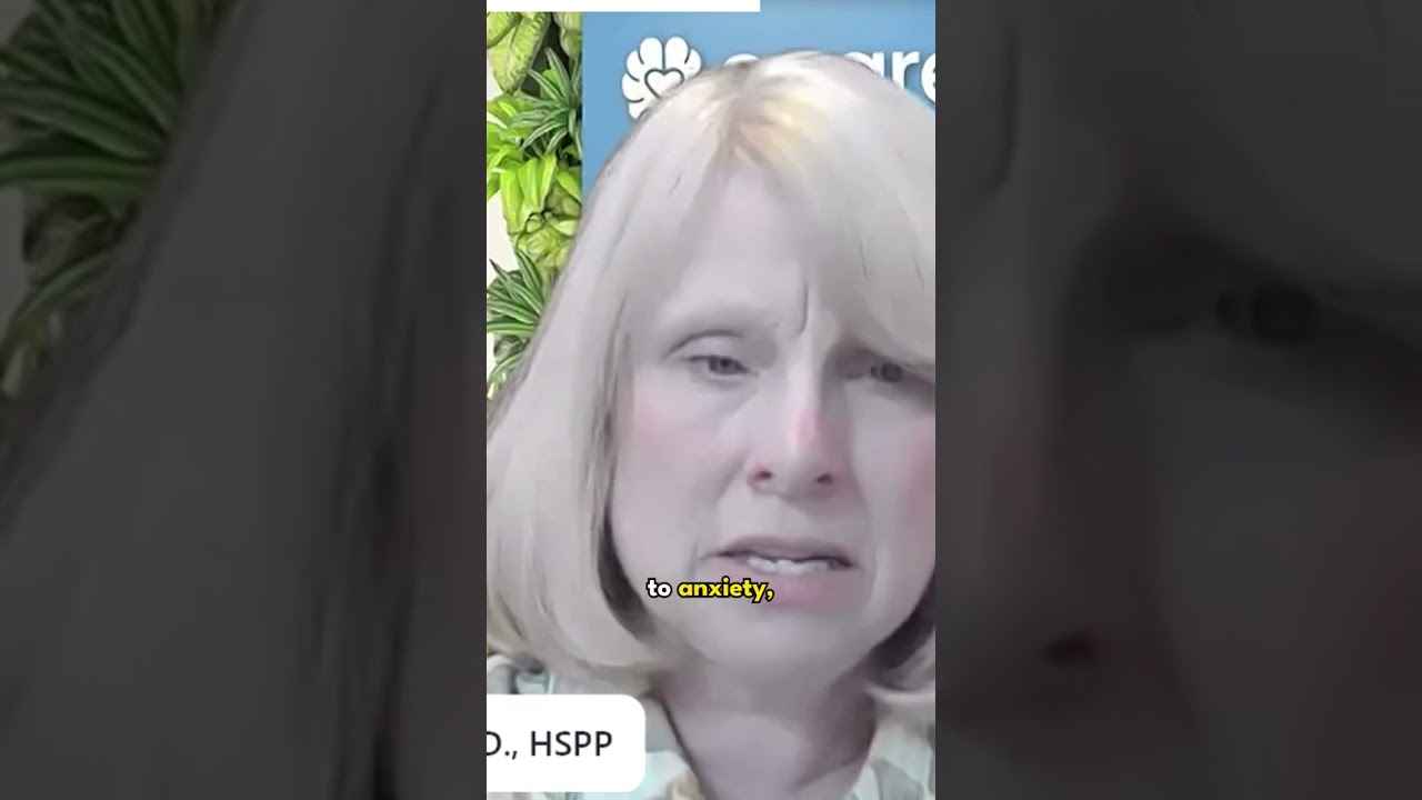 Amygdala and Cortex: The Source and Solution of Anxiety