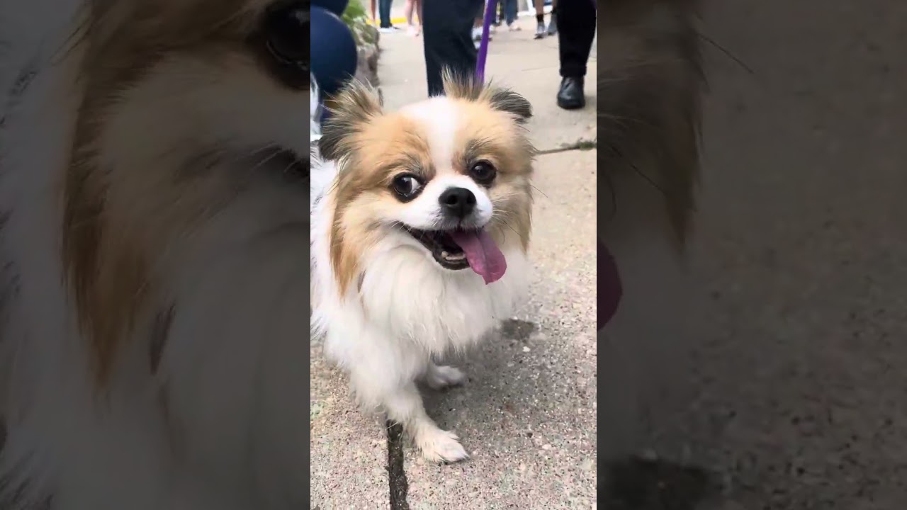 Beloit College Move-In Day Recap!