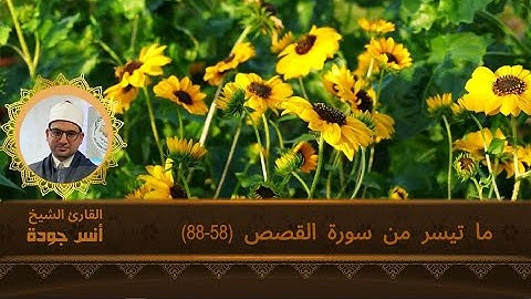 ما تيسر من سورة القصص، من الآية 58 إلى الآية 88