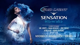 Bud Light Sensation Into the Wild: DJ Reveal Full Line-Up