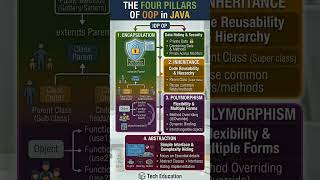 Java oops concepts #java #javaoops #javadsa #javapillers