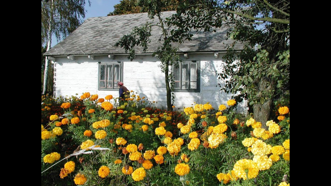 CHEŁMSKIE PODRÓŻE SENTYMENTALNE - RUDOLFIN, gm.  Kamień