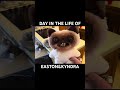 SO CLOSE TO 200 SUBSCRIBERS!! #clips #funny #memeclip #duet #funnystreammoments #youtuberslife