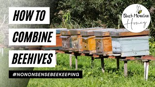 How To Combine Beehives Safely For Winter - Unite Colonies With Confidence
