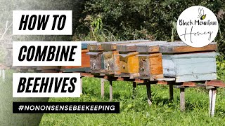 How to Unite Beehives - How to Combine Beehives - Merging Bees for Winter - Combining Beehives