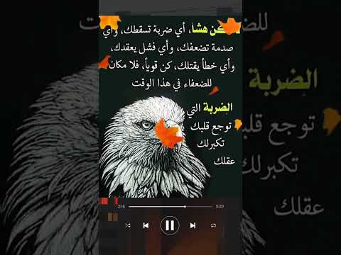 حكم وامثال عن الحياه اجمل ماقيل عن الحياه حكم معلومات تحفيز اقوال امثال