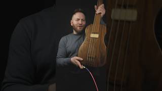 Thumbnail for What bassists get paid to play vs what they want to play #bassist #bassplayer #guitarist #musician