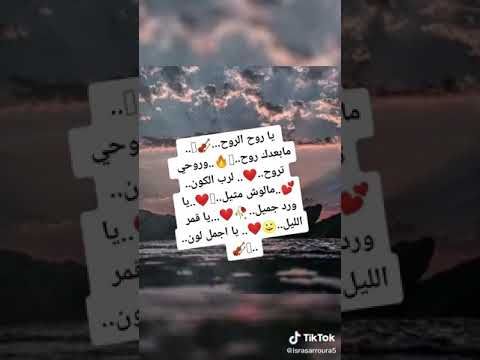اغنية يا روح الروح الوصف مهم جدا