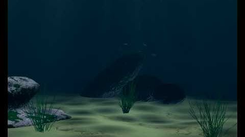 Blender Boids Test - Underwater 2