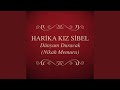 Yanma Arkadaş 