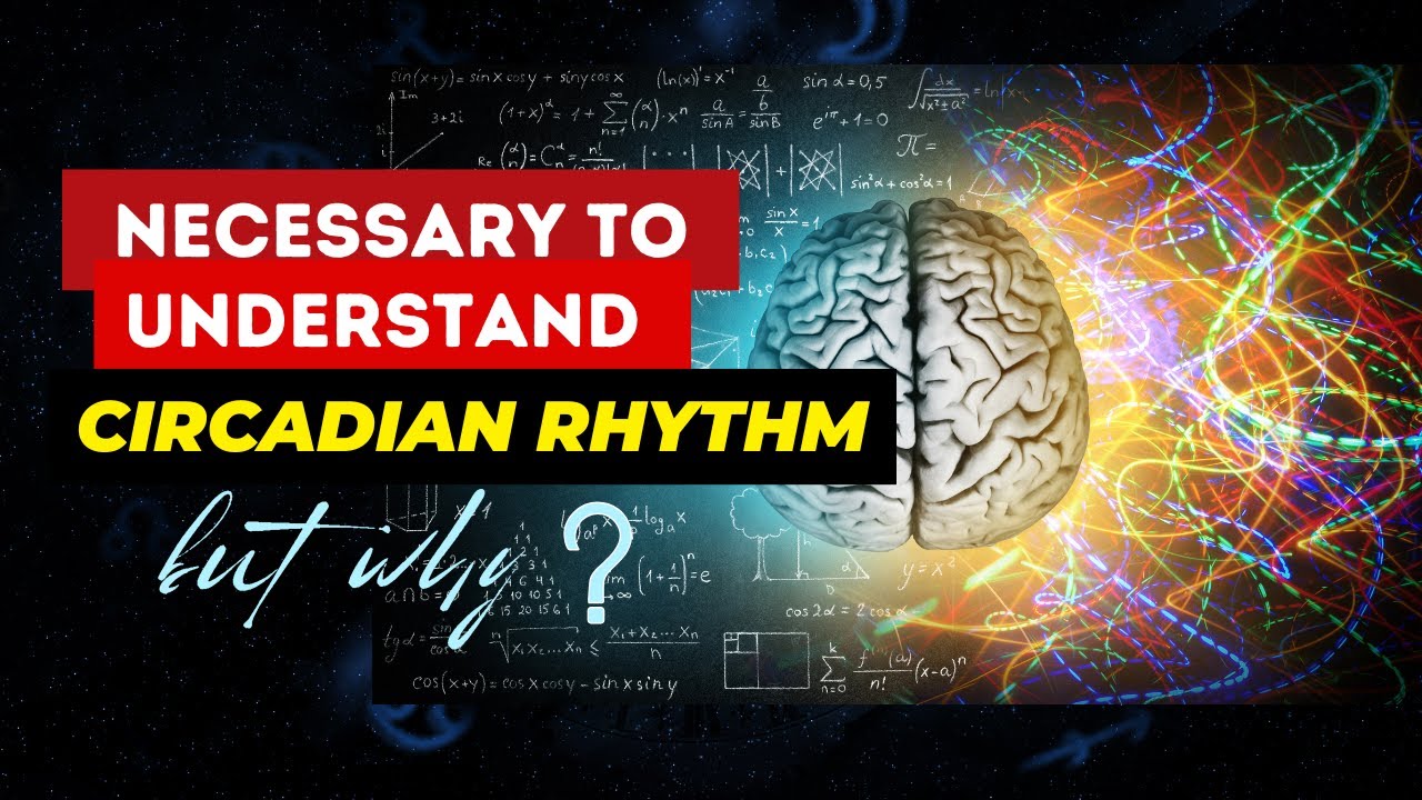 Unlock the Hidden Power of Your Circadian Rhythm! | Inner Clock - YouTube