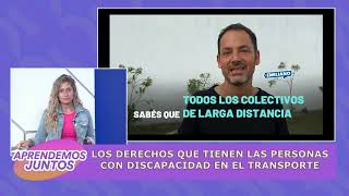 PROGRAMA 231