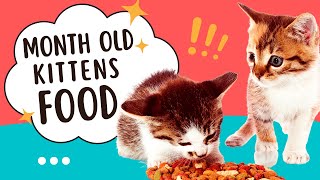 What To Feed A Month Old Kitten 🥣 Eating Cycle of Young Kittens🐱 by Paw Venue 119 views 1 year ago 7 minutes, 12 seconds