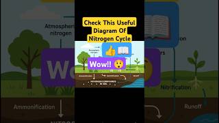 Must Know This Amazing Diagram Of Nitrogen Cycle