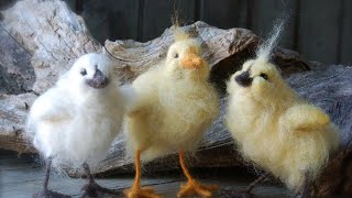 Felt Along Chicks