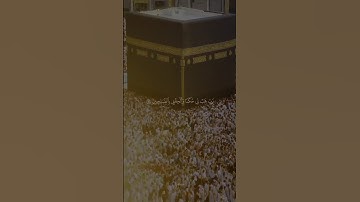 تلاوة رائعة من سورة الشعراء للشيخ ياسر الدوسري #قرآن #قران_كريم #المصحف #quran