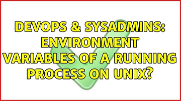 DevOps & SysAdmins: Environment variables of a running process on Unix? (12 Solutions!!)