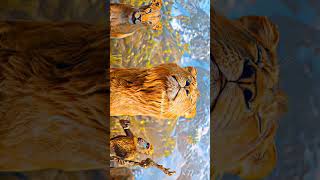 🦁👑 Mufasa × Lion King EDIT 🔥Cinematic Edit Only 🎬💀King Never Dies ✨Pure Vibes + High Quality Editing