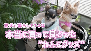 愛犬と暮らして14年の私が本当に買って良かったと思った物 犬用品 エアーバギー リュックキャリーバッグ 多頭飼い 極小チワワのミントとくるちゃん