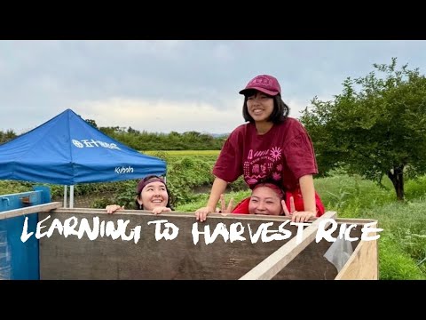 Senjo Rice Field Trip