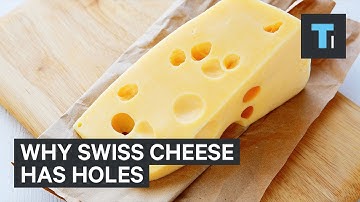 Why Swiss Cheese Has Mysterious, Giant Holes