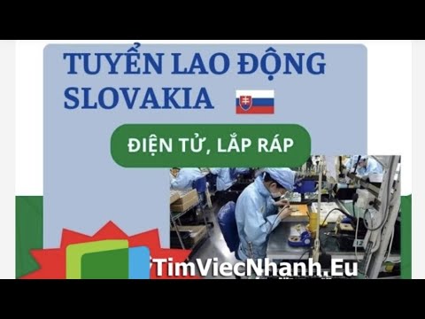 Danh sách 9 công ty xuất khẩu lao động hàng đầu tại Đồng Tháp năm 2025