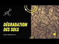 Linquitante dgradation des sols et ses consquences